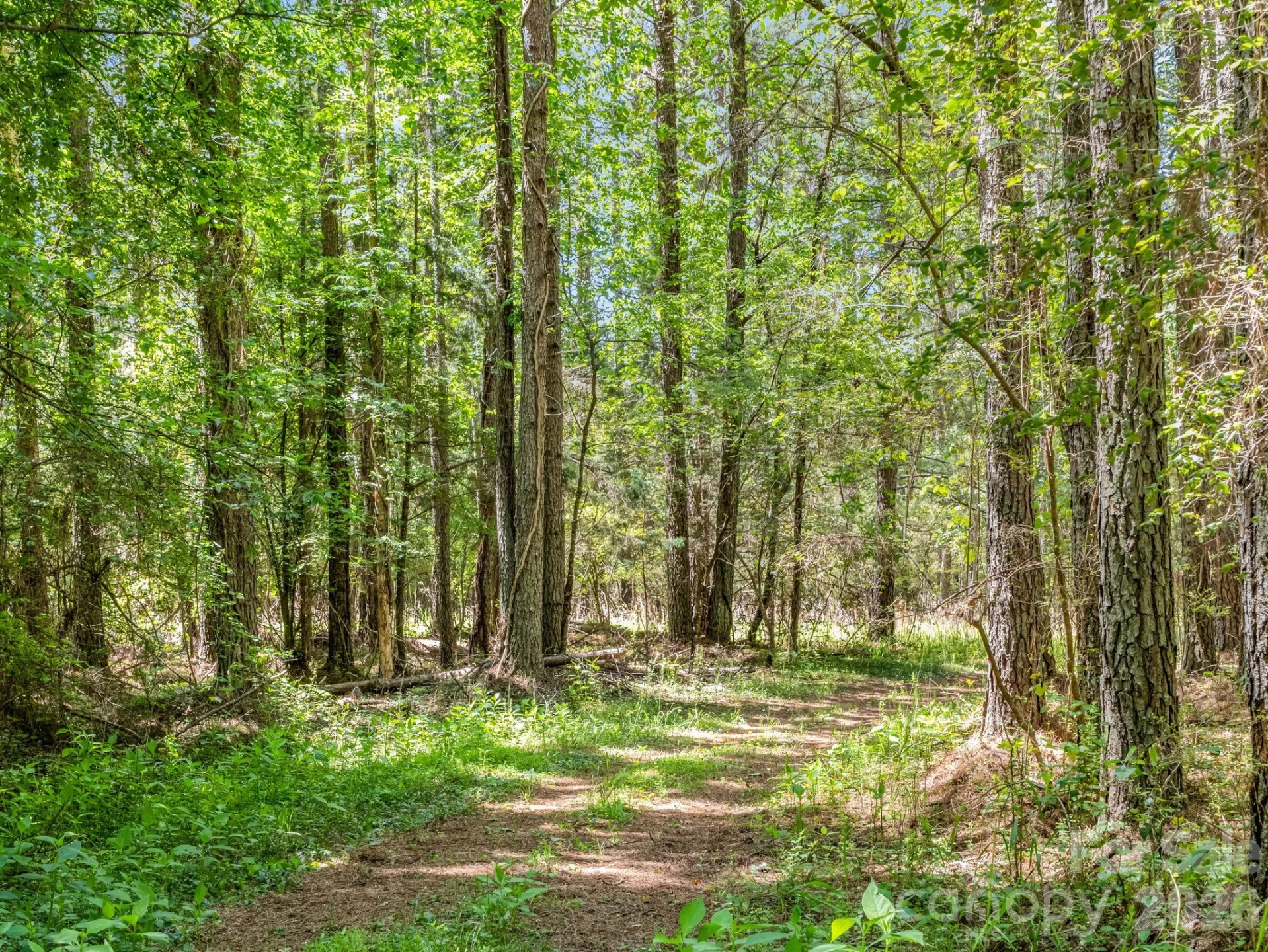 0 Jim Dobbins Road - Photo 22