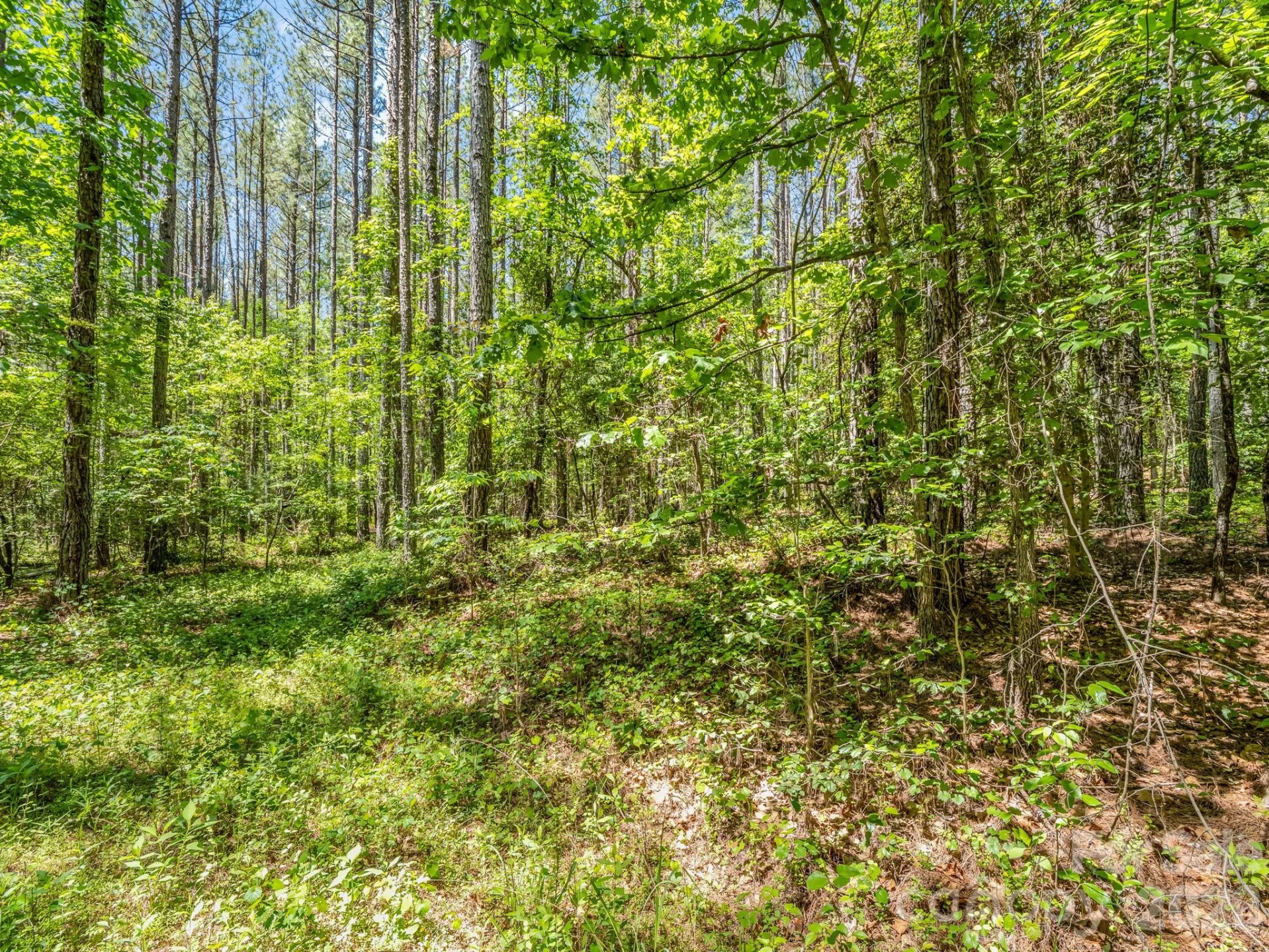 0 Jim Dobbins Road - Photo 28