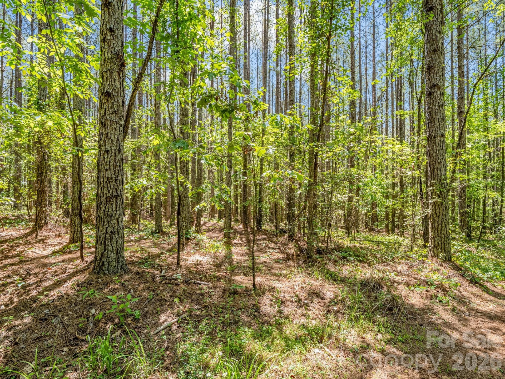 0 Jim Dobbins Road - Photo 29
