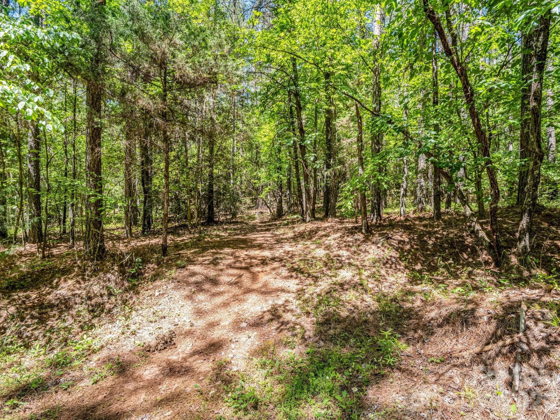 0 Jim Dobbins Road - Photo 30