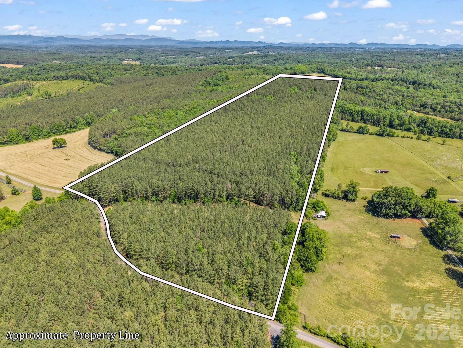 0 Jim Dobbins Road - Photo 4
