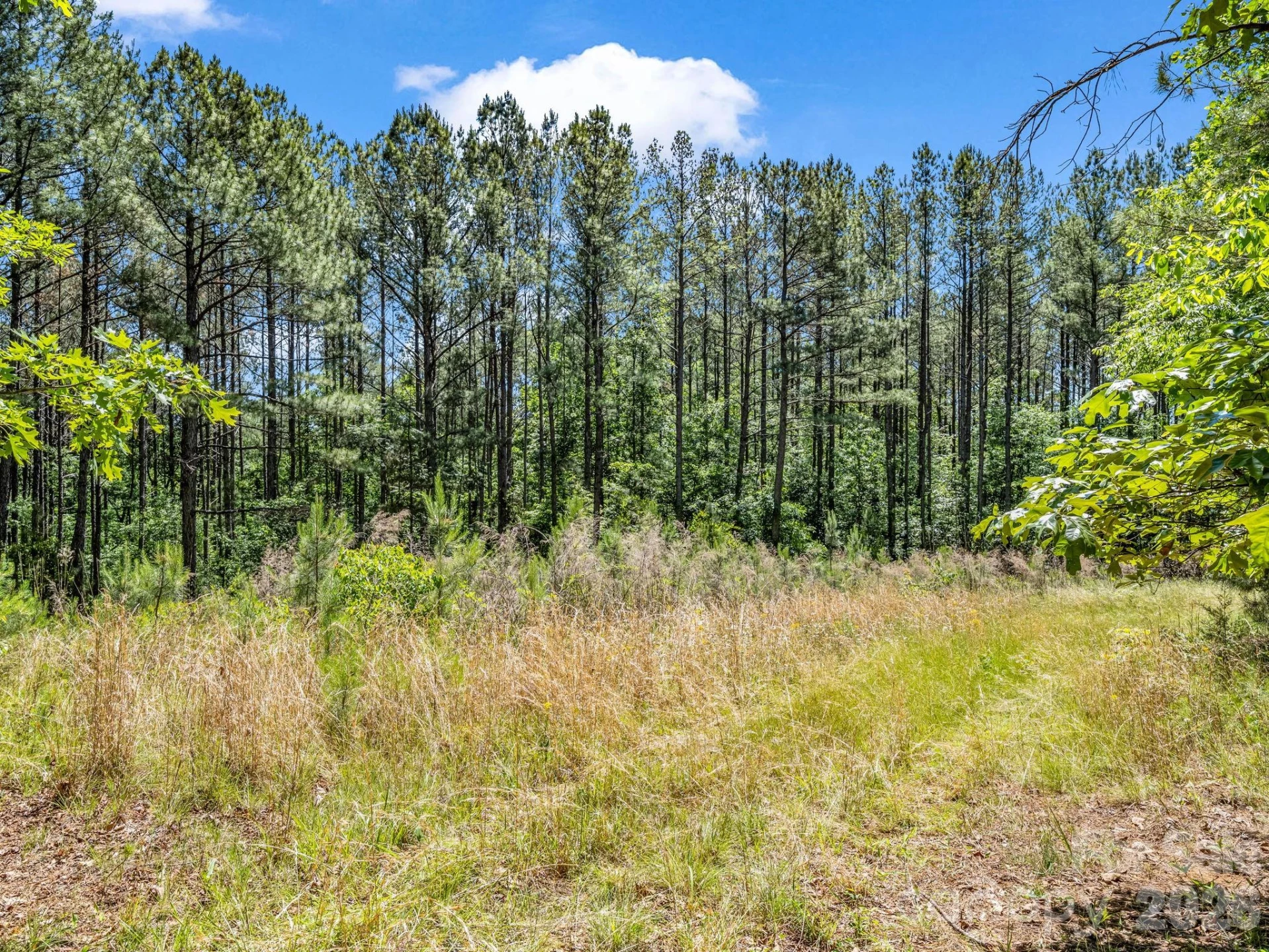 0 Jim Dobbins Road - Photo 31
