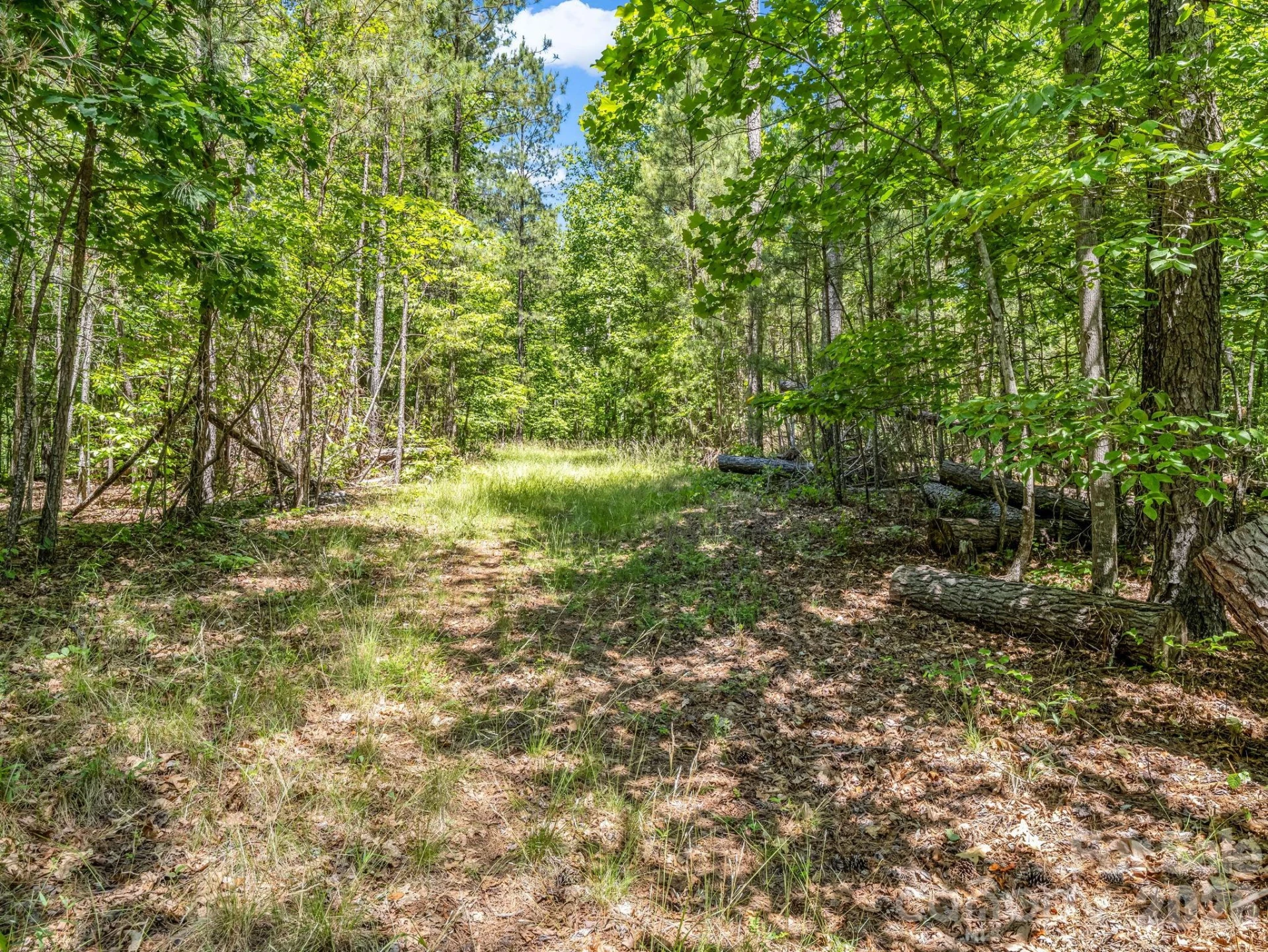 0 Jim Dobbins Road - Photo 32