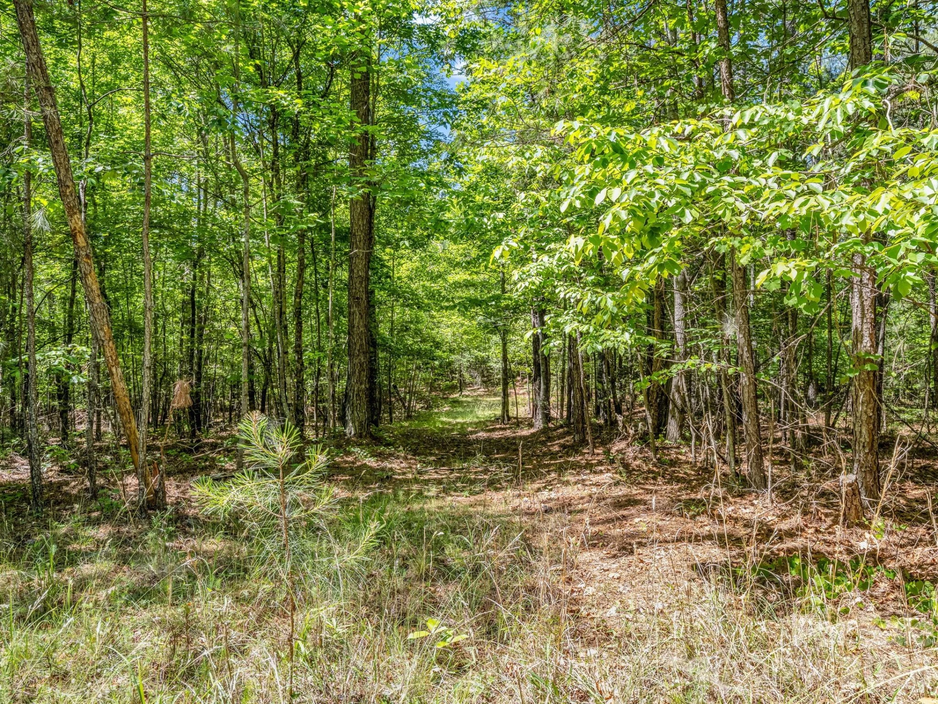 0 Jim Dobbins Road - Photo 33