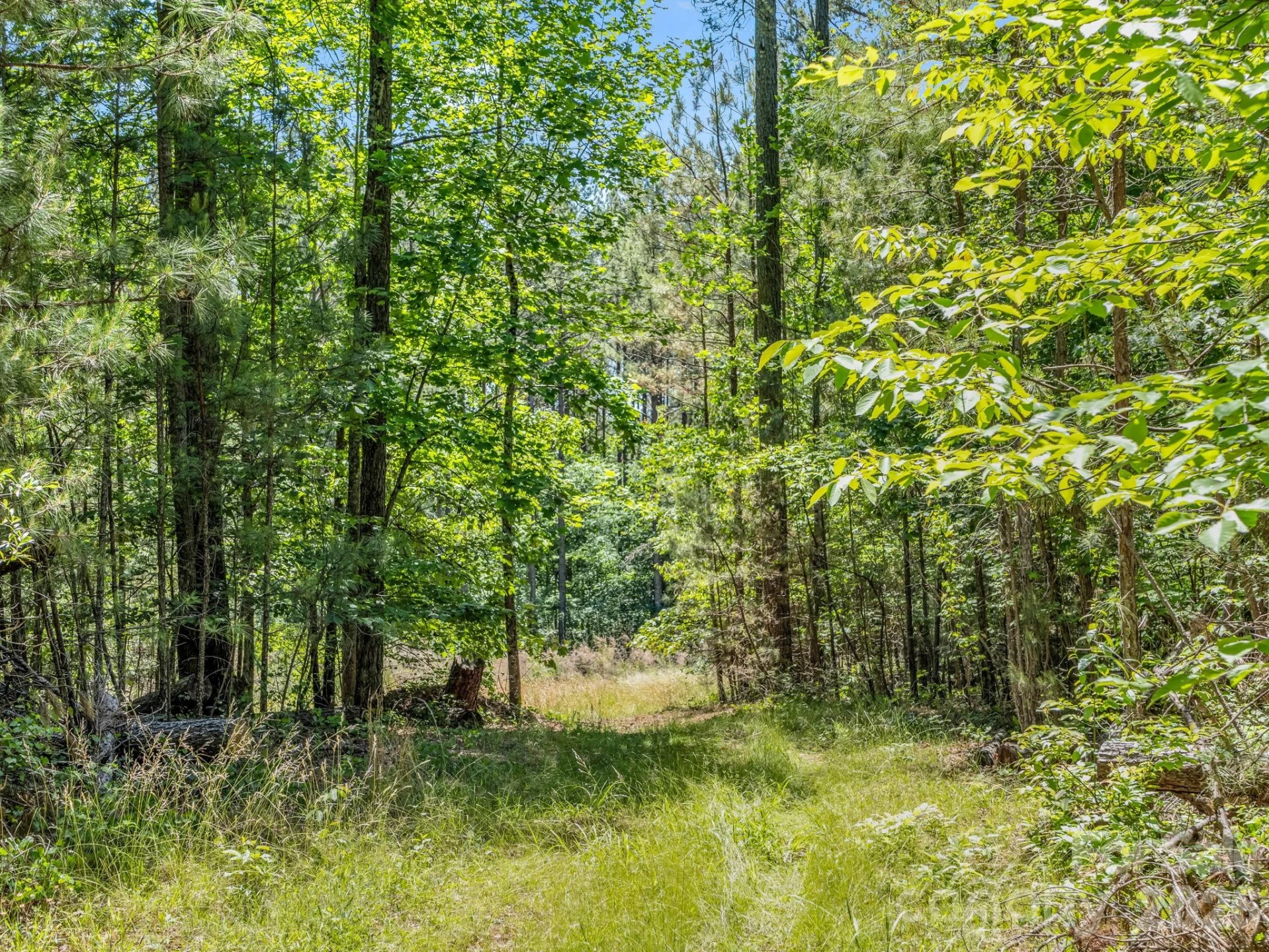0 Jim Dobbins Road - Photo 34