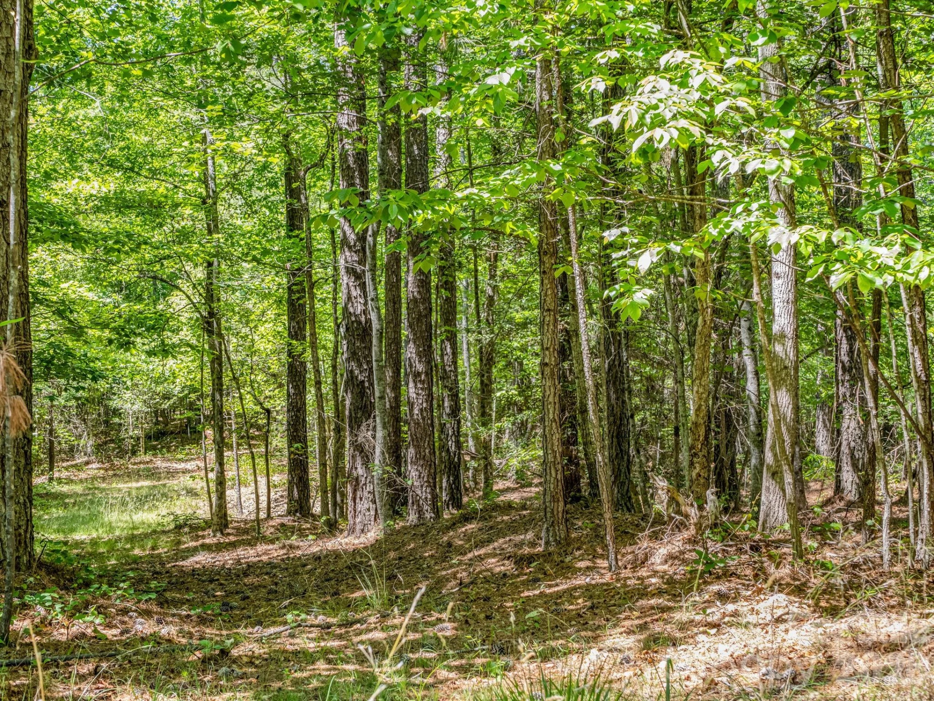0 Jim Dobbins Road - Photo 35