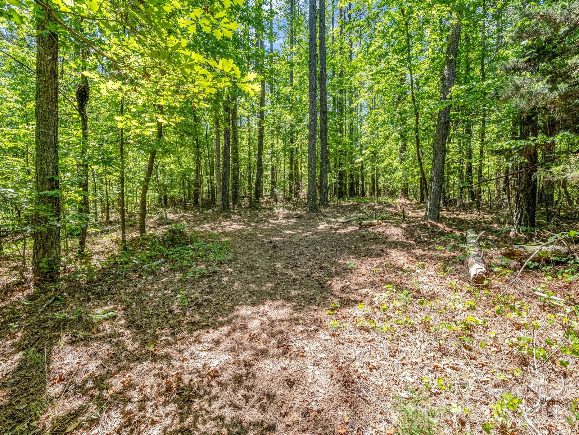 0 Jim Dobbins Road - Photo 37