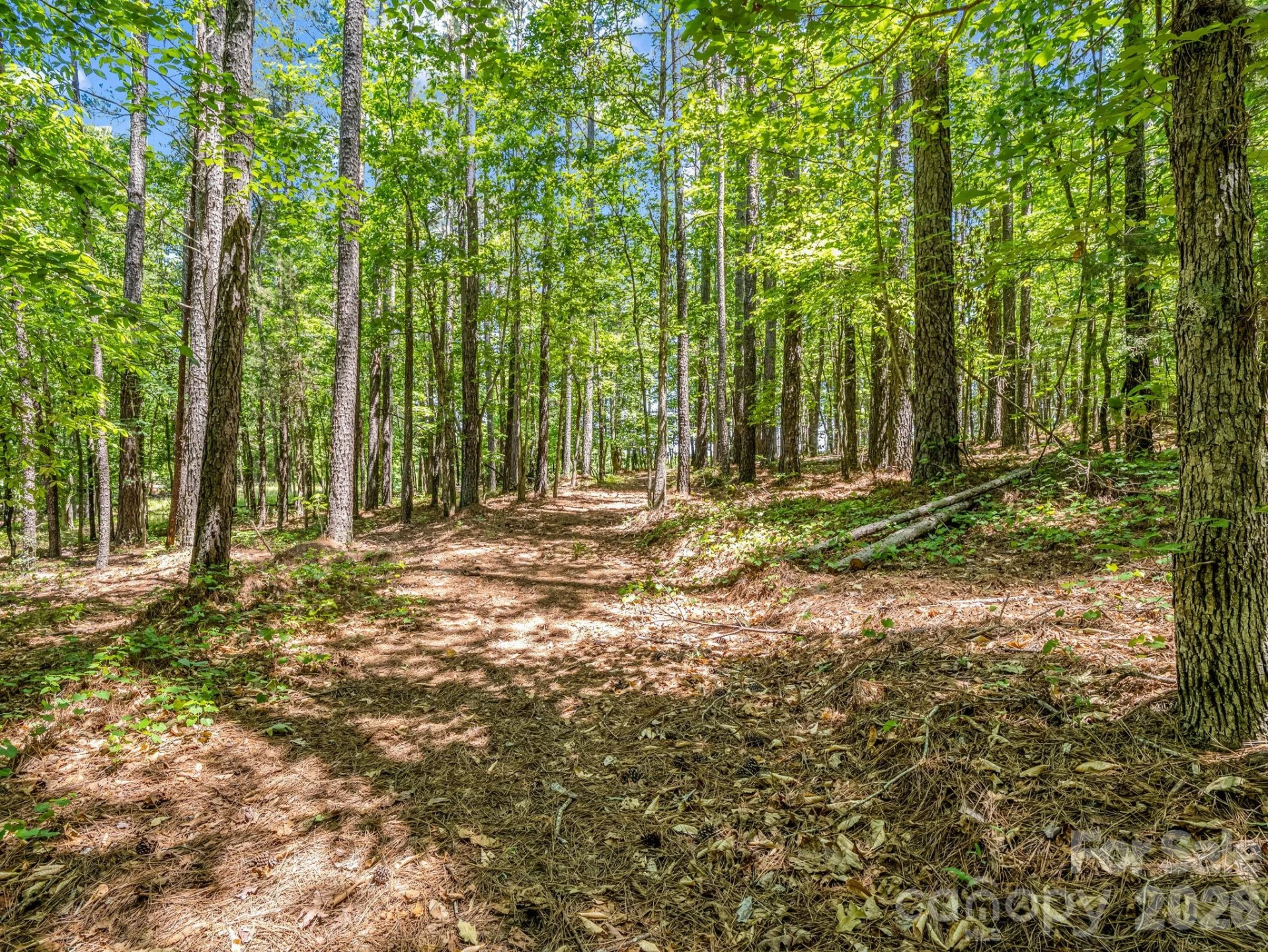 0 Jim Dobbins Road - Photo 39