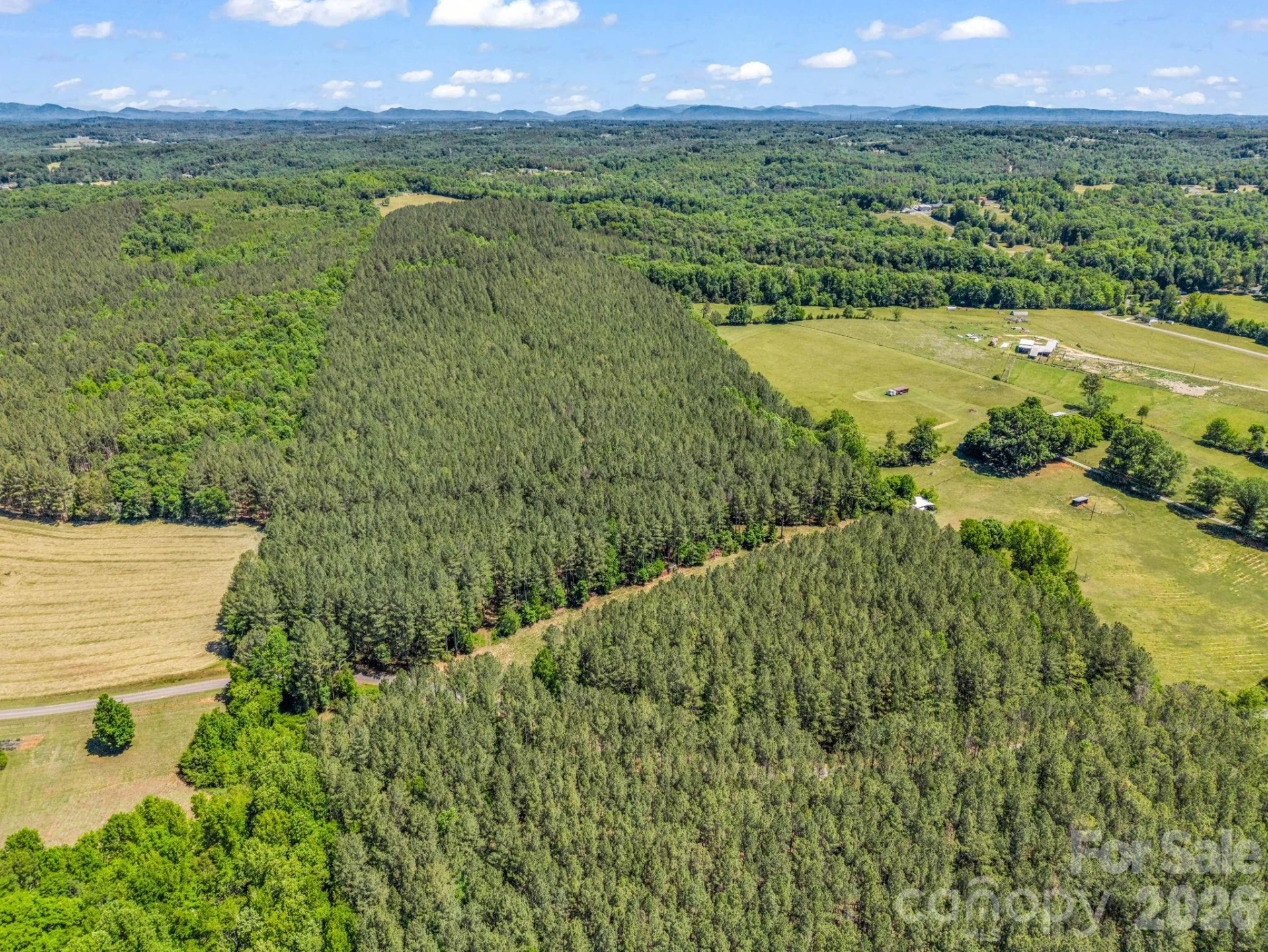 0 Jim Dobbins Road - Photo 7