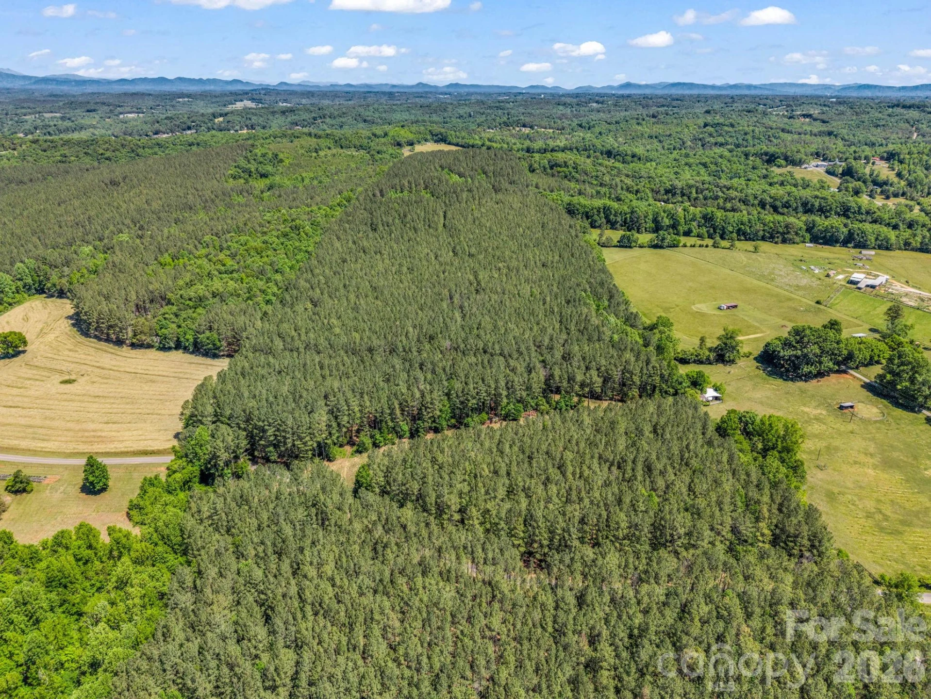 0 Jim Dobbins Road - Photo 8