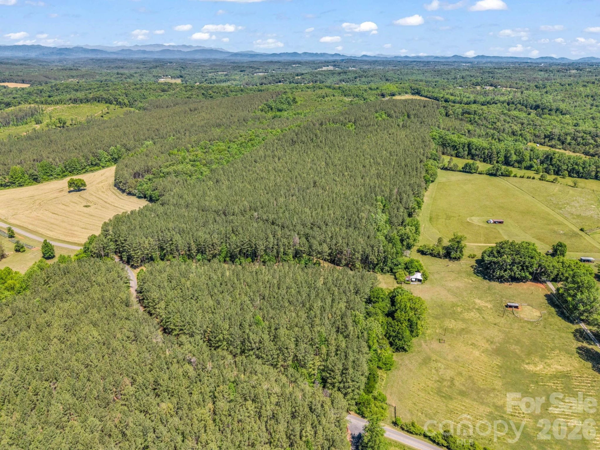 0 Jim Dobbins Road - Photo 9
