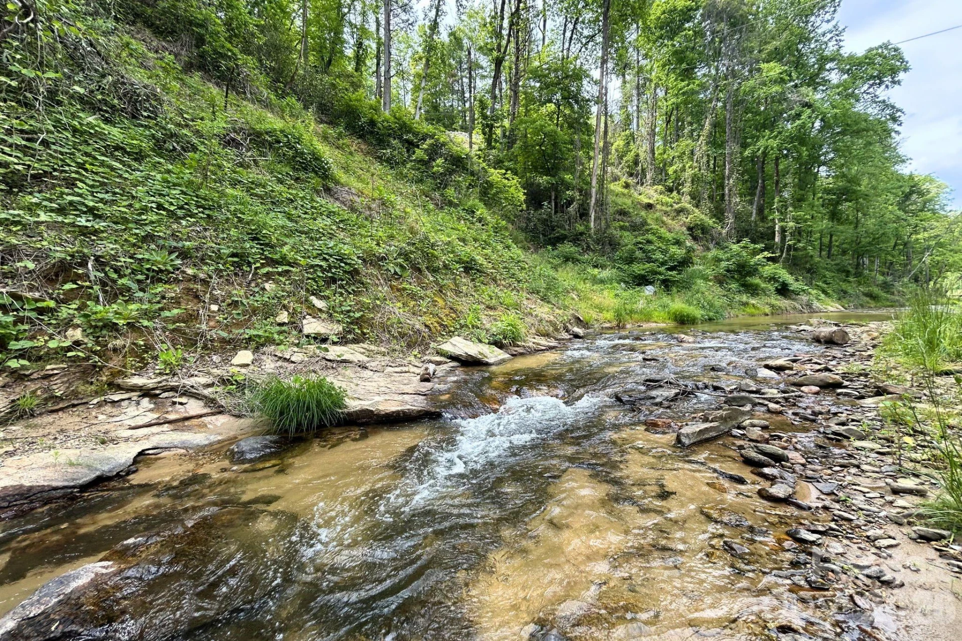 302 Rich Mountain Road - Photo 6