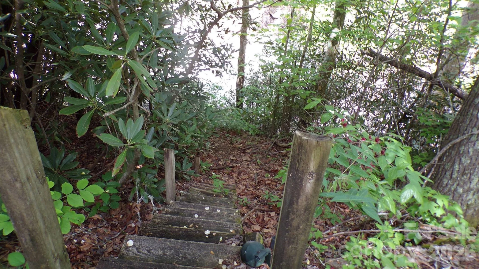 216 Paradise Road - Photo 19