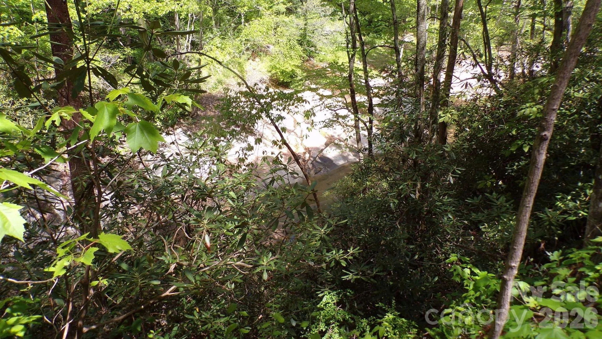 216 Paradise Road - Photo 21