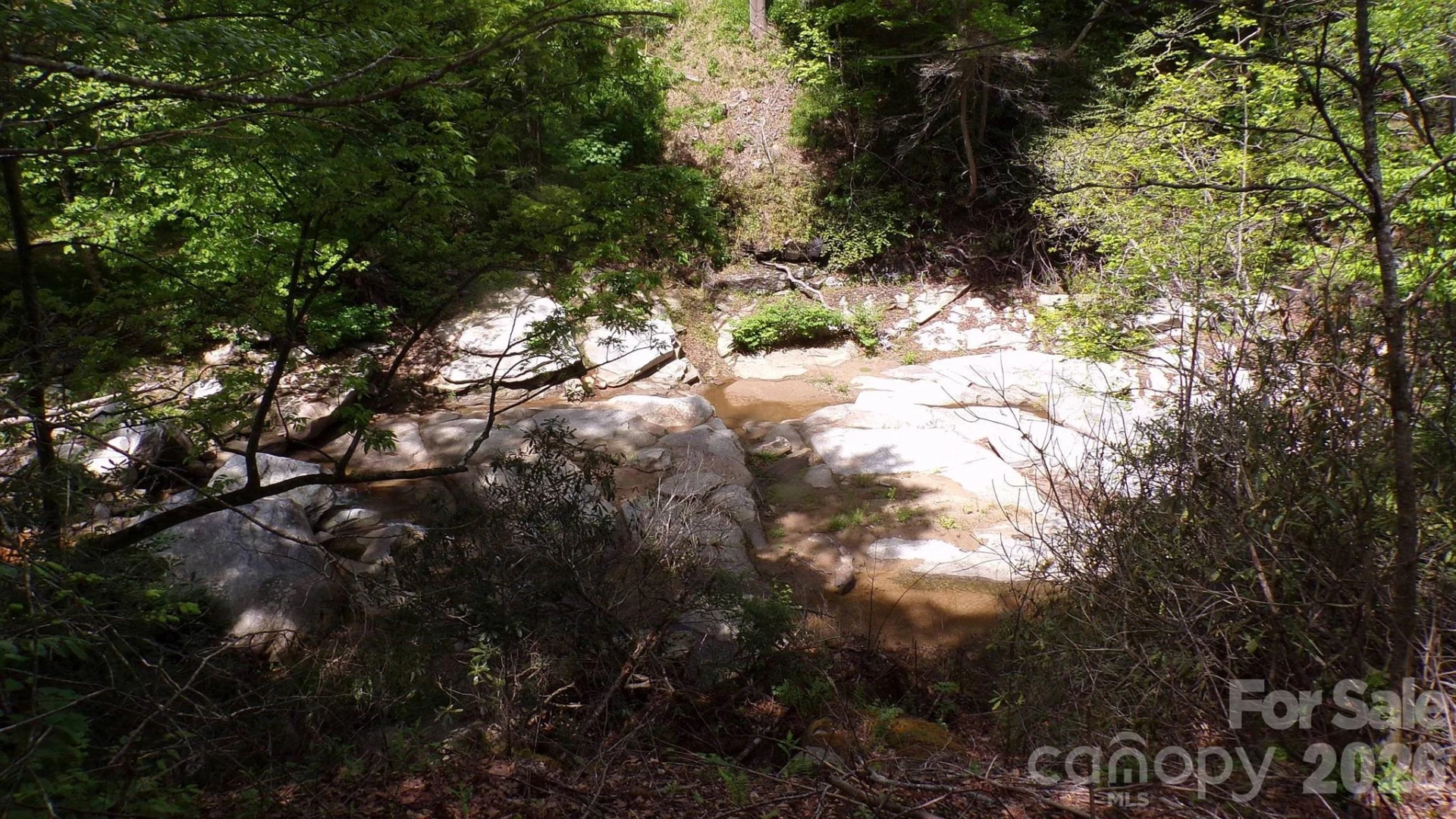 216 Paradise Road - Photo 22