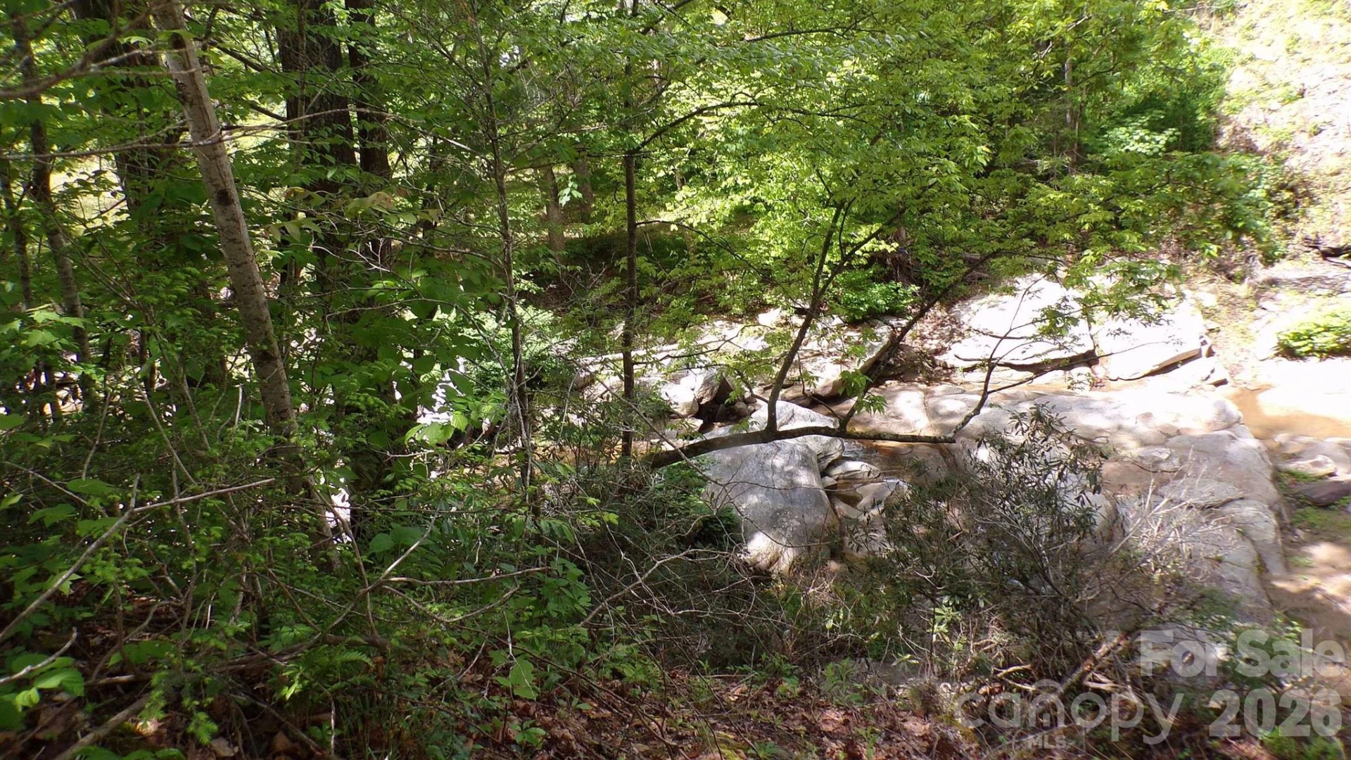 216 Paradise Road - Photo 23
