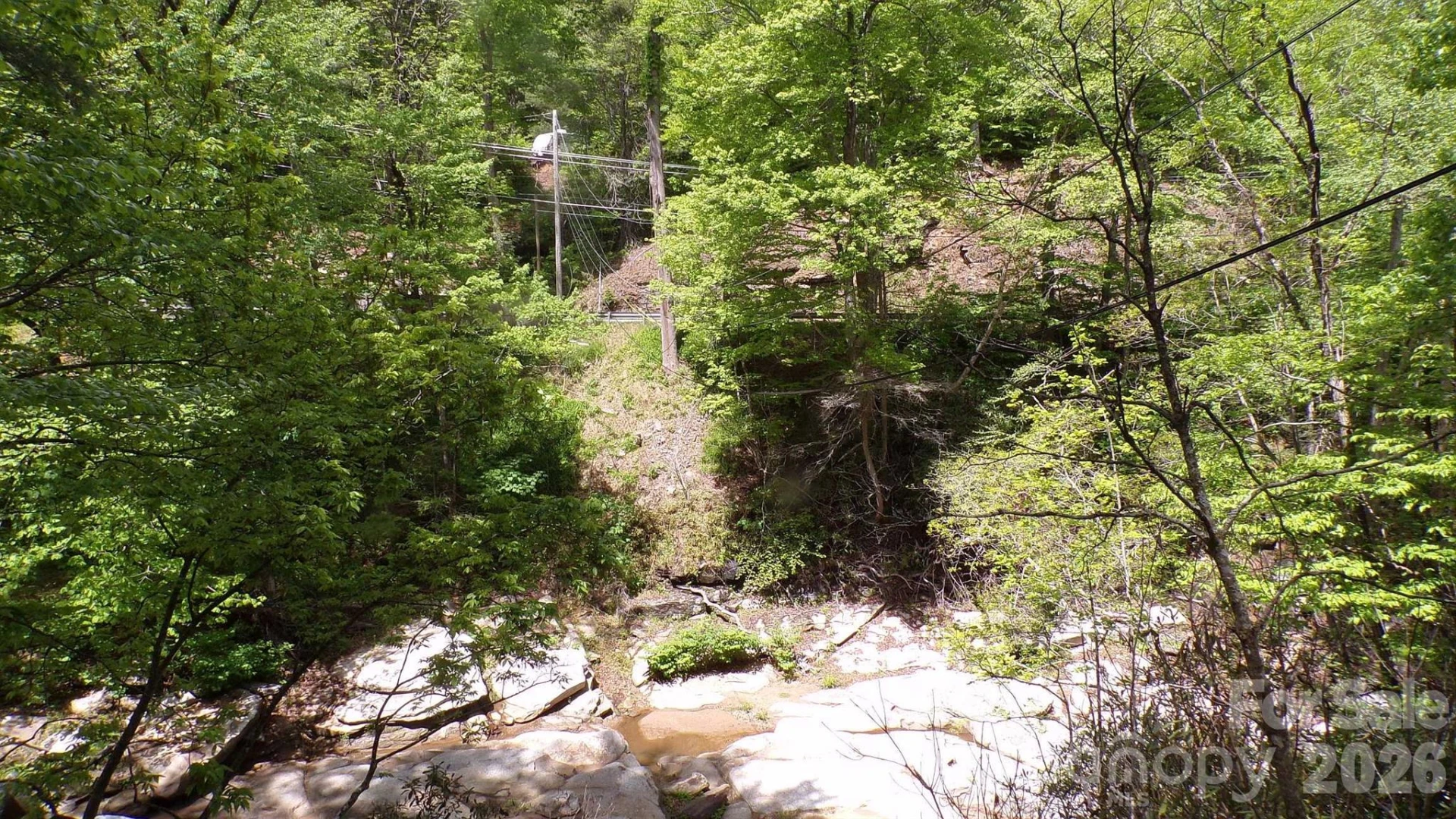 216 Paradise Road - Photo 24