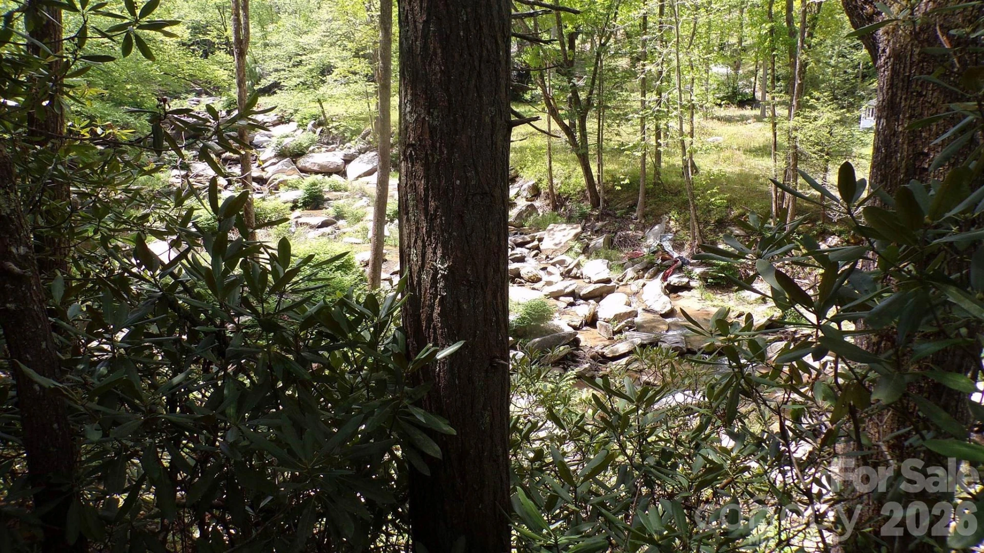 216 Paradise Road - Photo 27