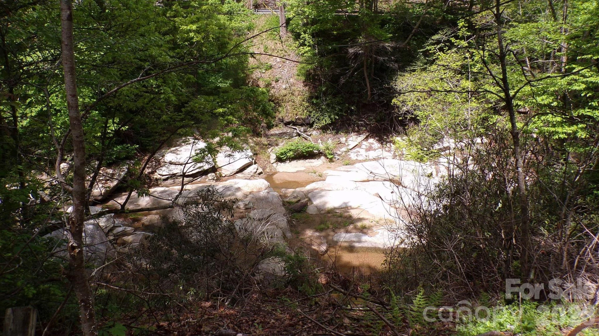 216 Paradise Road - Photo 29