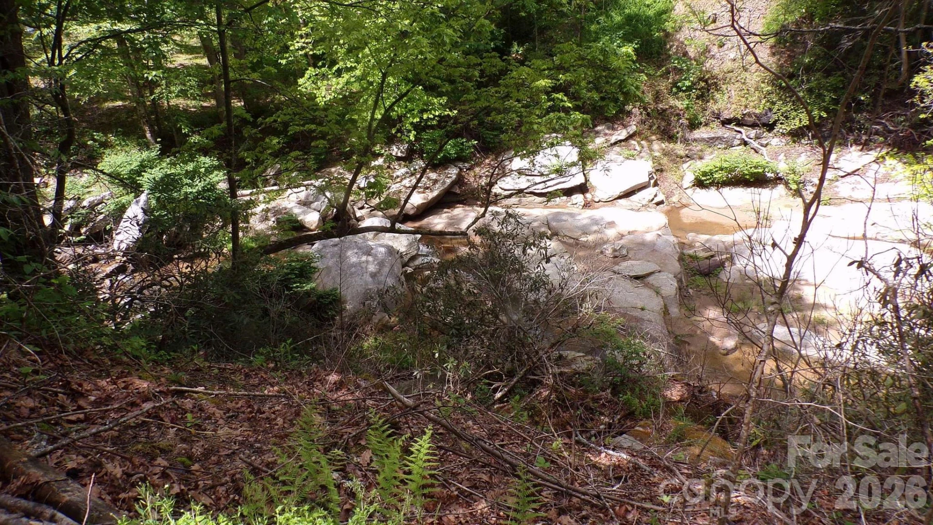 216 Paradise Road - Photo 30