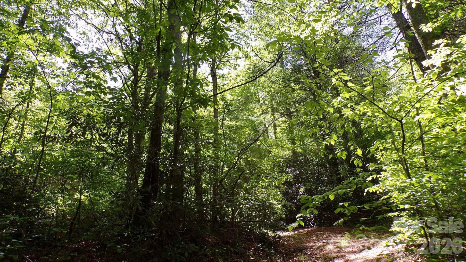 216 Paradise Road - Photo 31