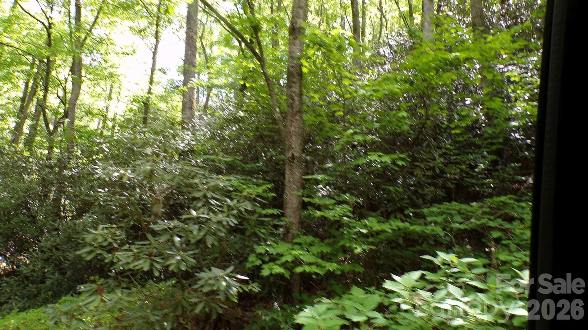 216 Paradise Road - Photo 32
