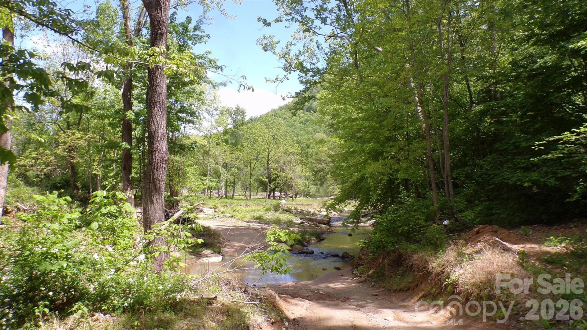 216 Paradise Road - Photo 33