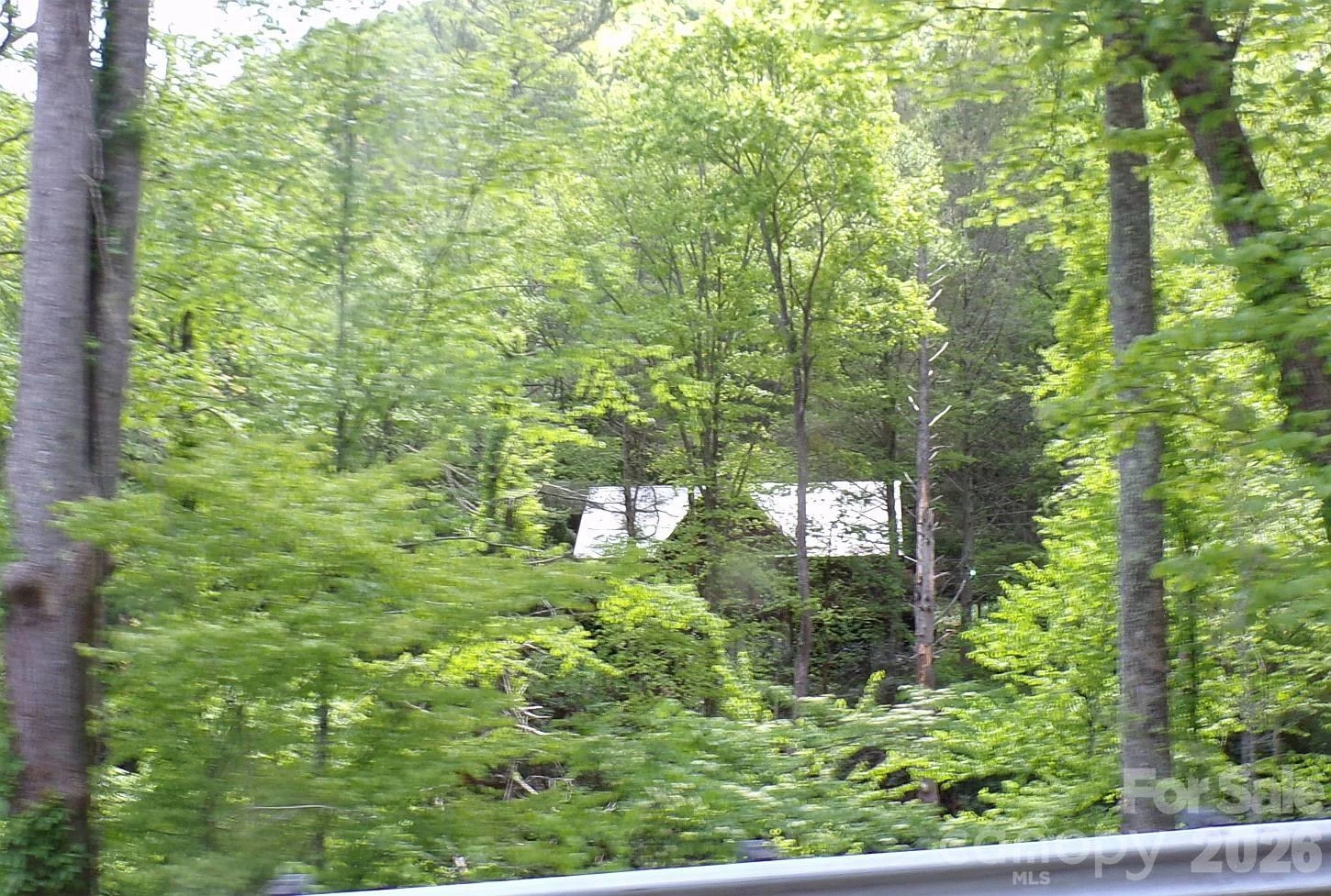 216 Paradise Road - Photo 35