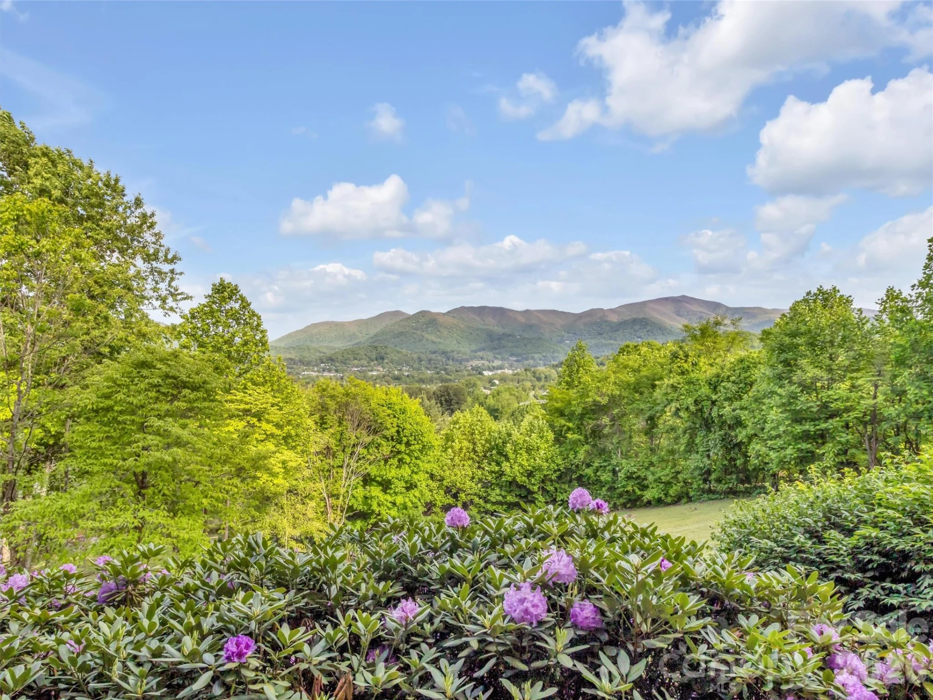 149 Cardinal Lane - Photo 46