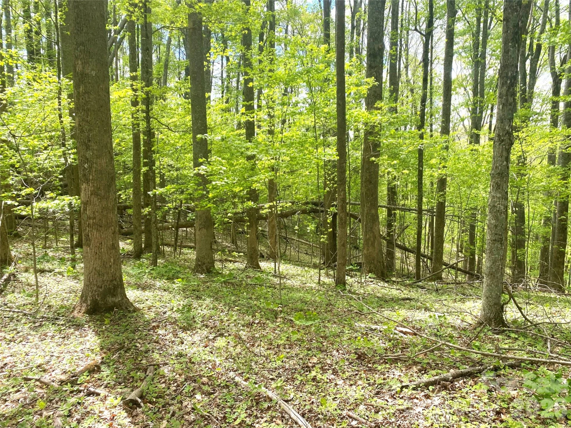 TBD US 23 Highway - Photo 2
