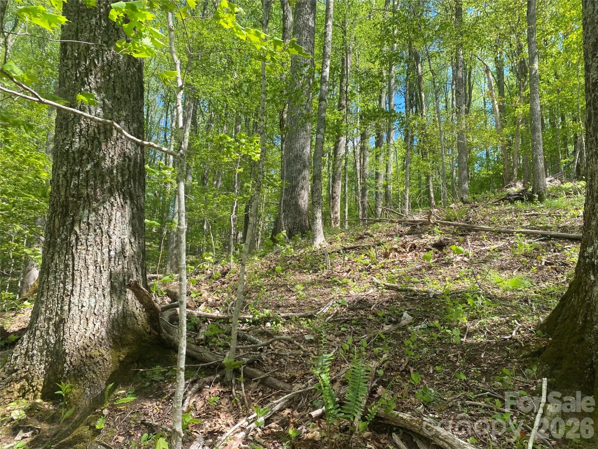 TBD US 23 Highway - Photo 11