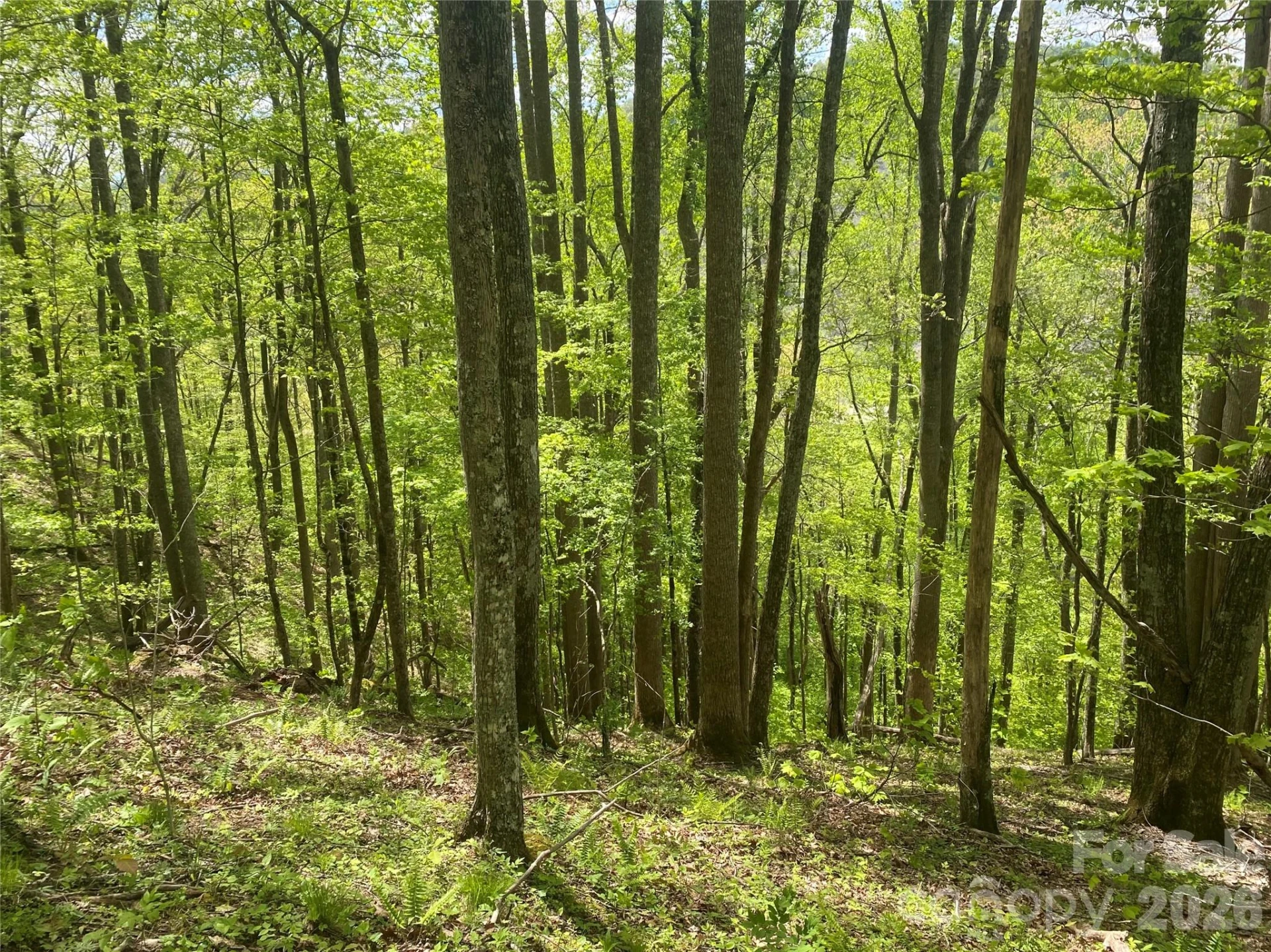 TBD US 23 Highway - Photo 13