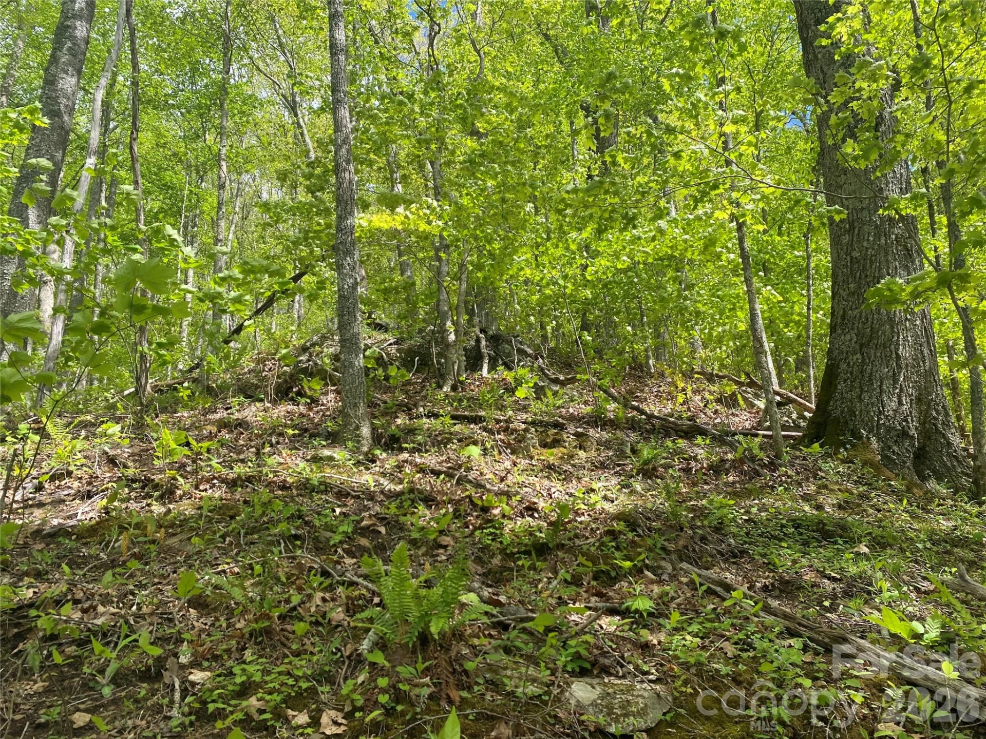 TBD US 23 Highway - Photo 14