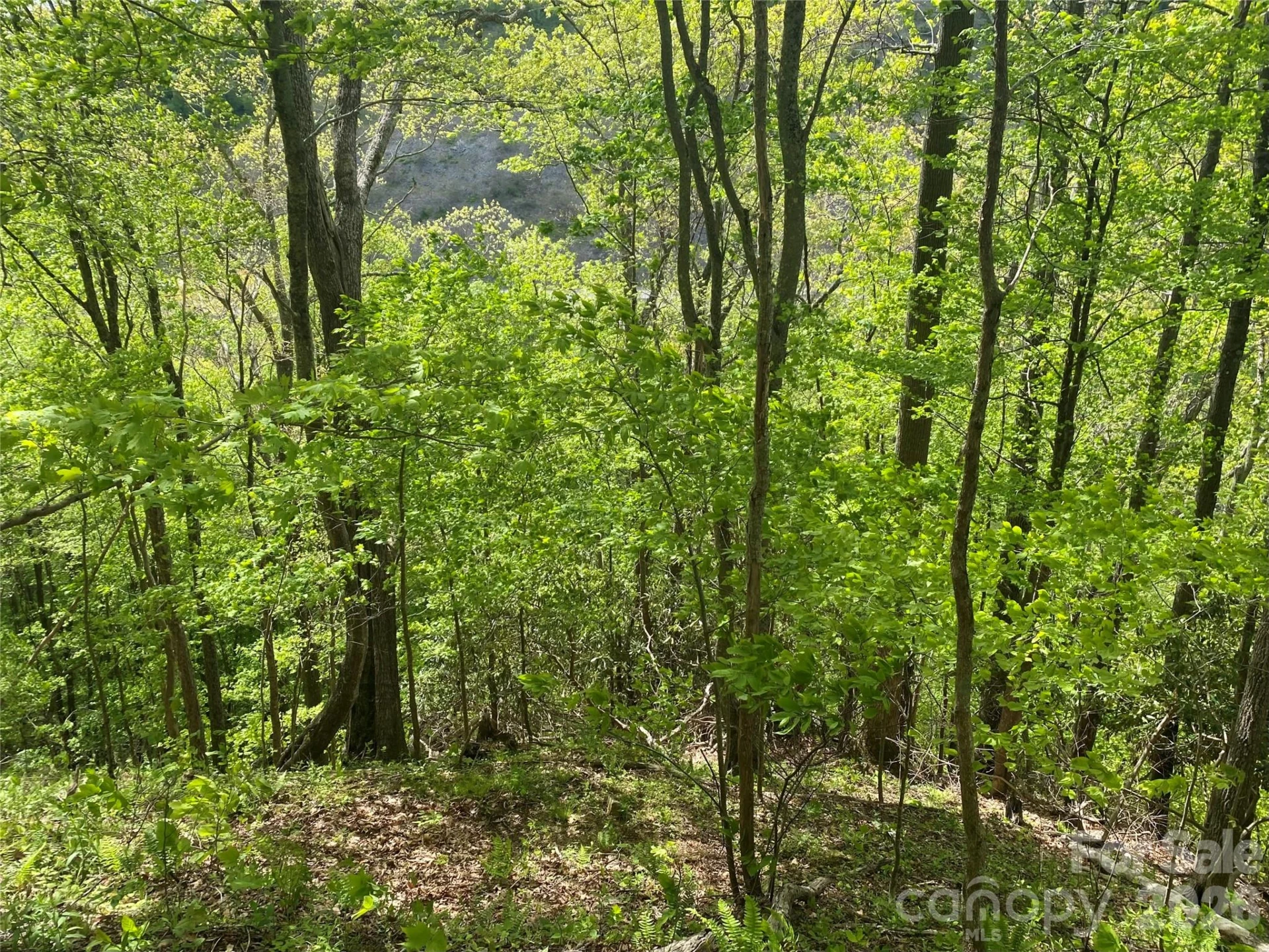 TBD US 23 Highway - Photo 15