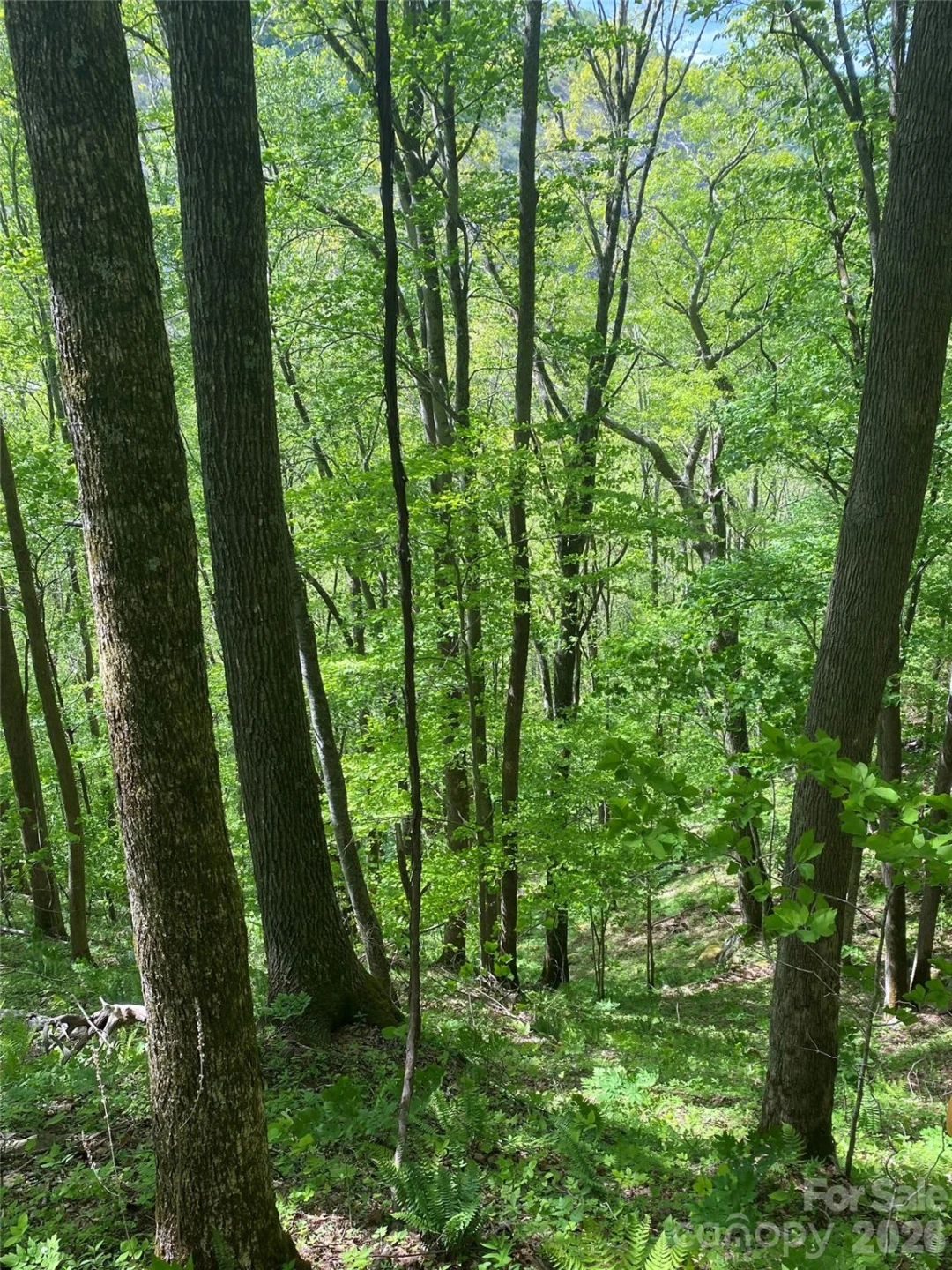TBD US 23 Highway - Photo 17