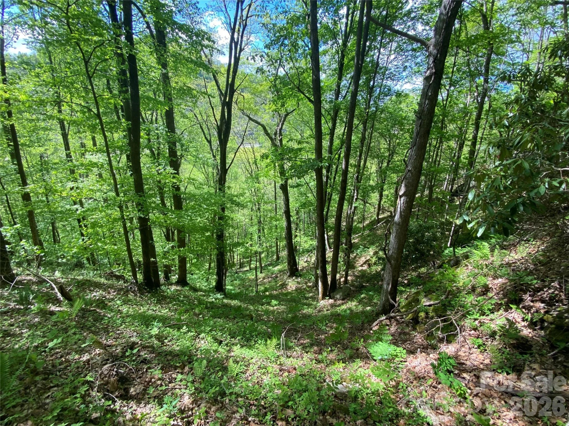 TBD US 23 Highway - Photo 18