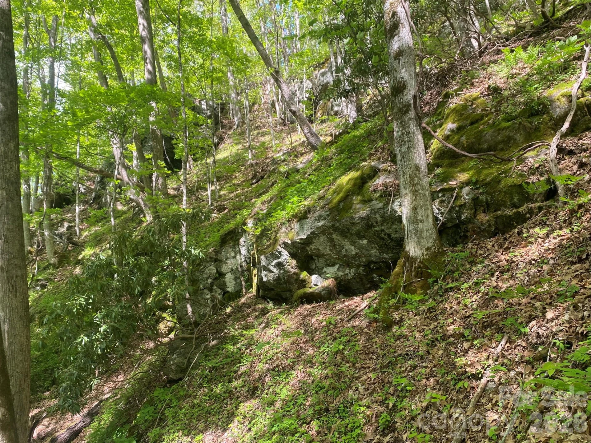 TBD US 23 Highway - Photo 19