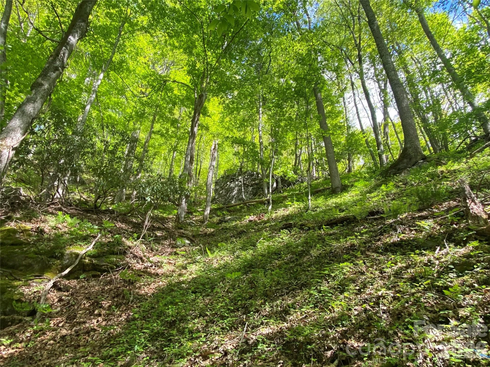 TBD US 23 Highway - Photo 20
