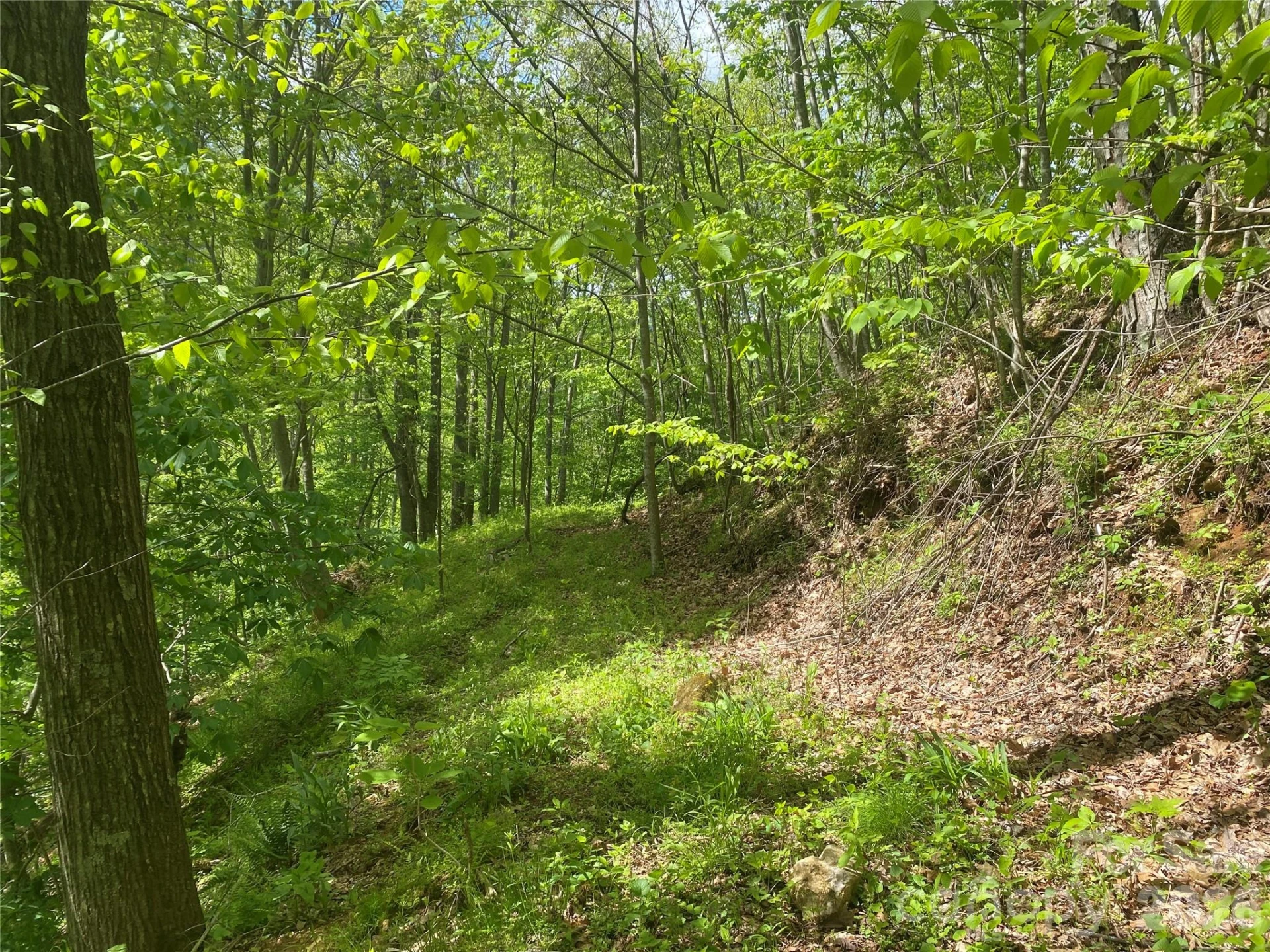 TBD US 23 Highway - Photo 21