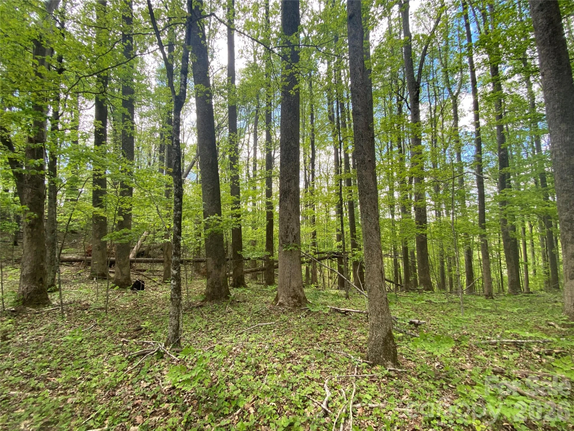 TBD US 23 Highway - Photo 4