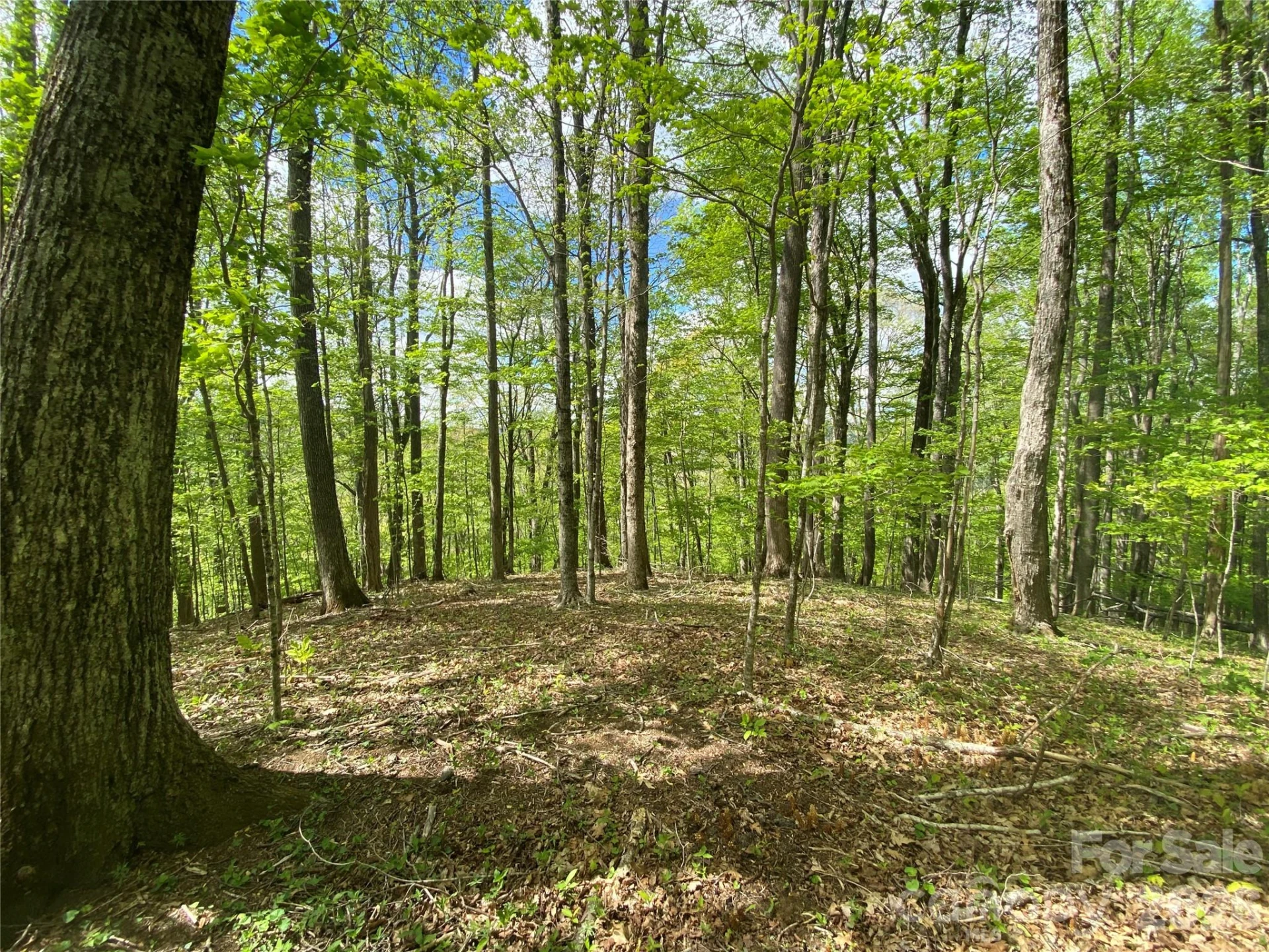 TBD US 23 Highway - Photo 5
