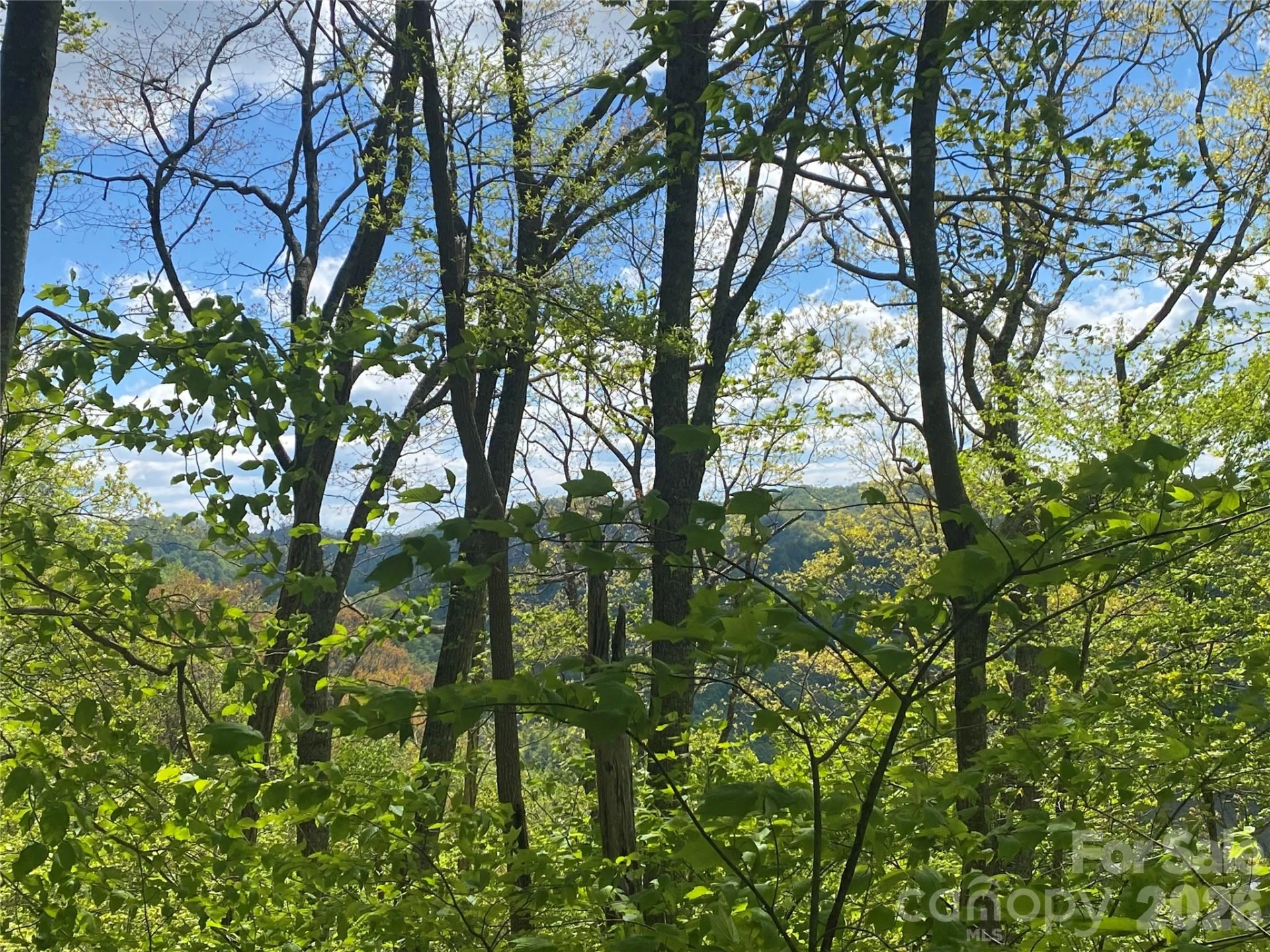 TBD US 23 Highway - Photo 6