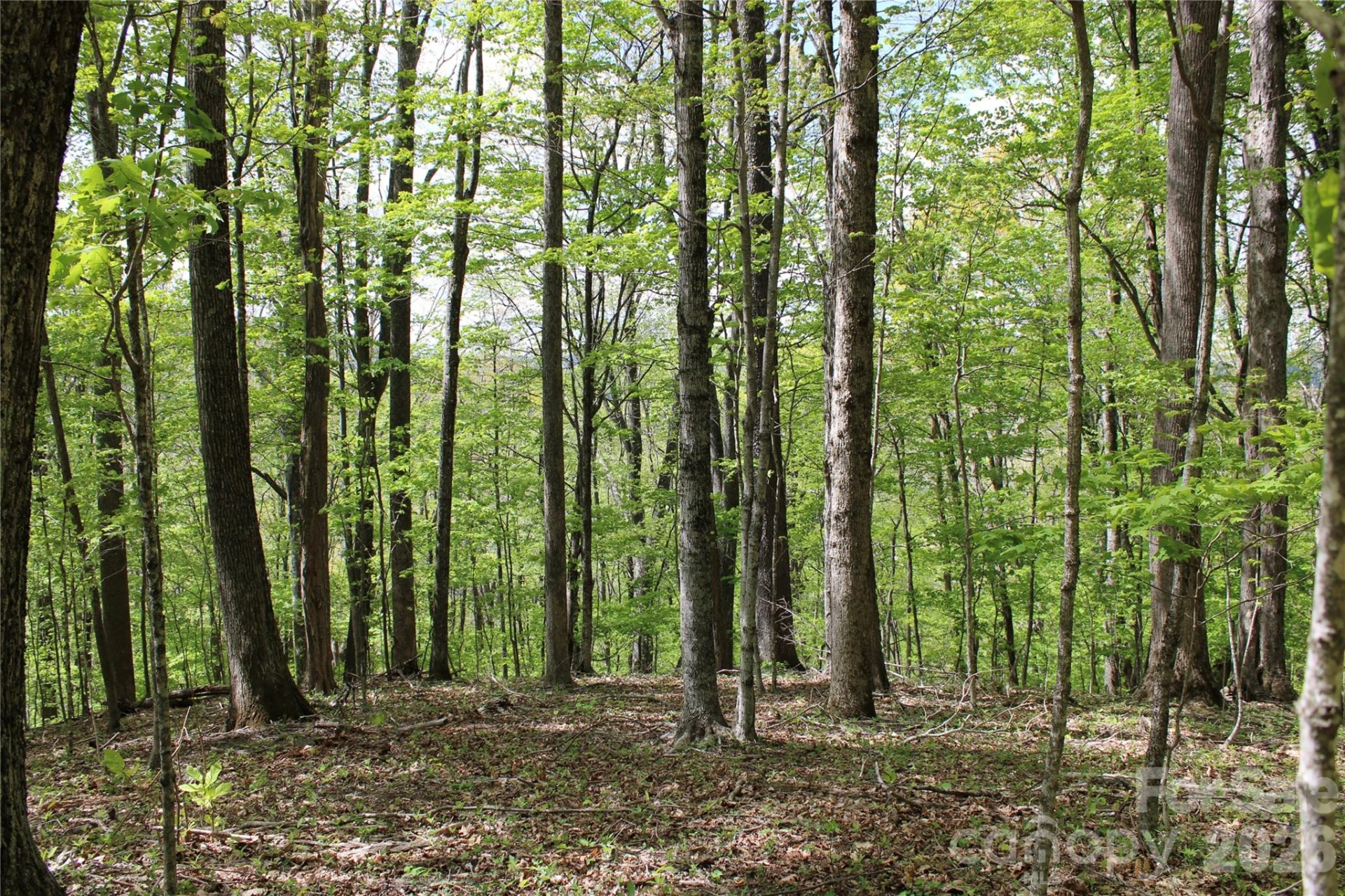 TBD US 23 Highway - Photo 7