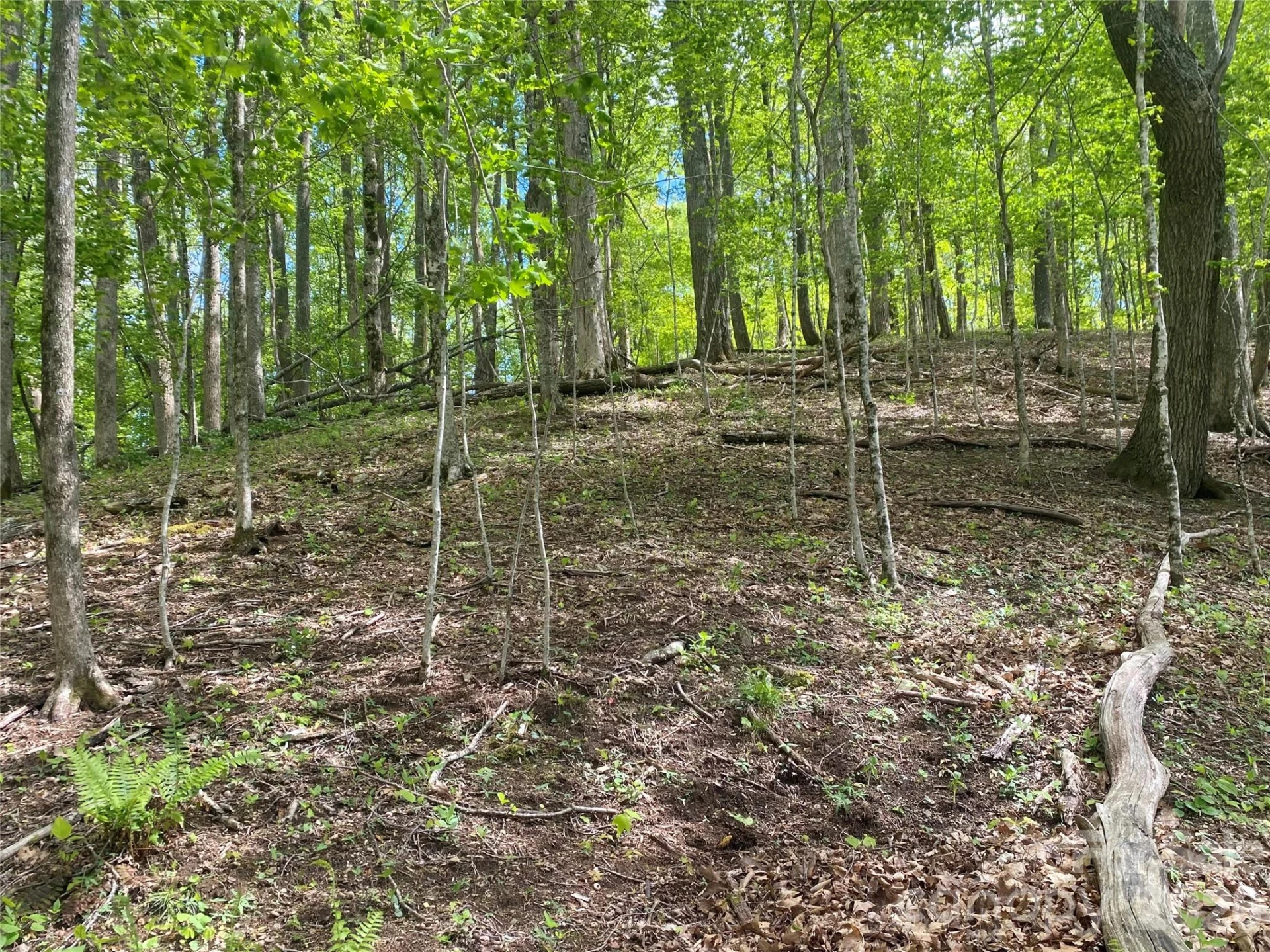 TBD US 23 Highway - Photo 8