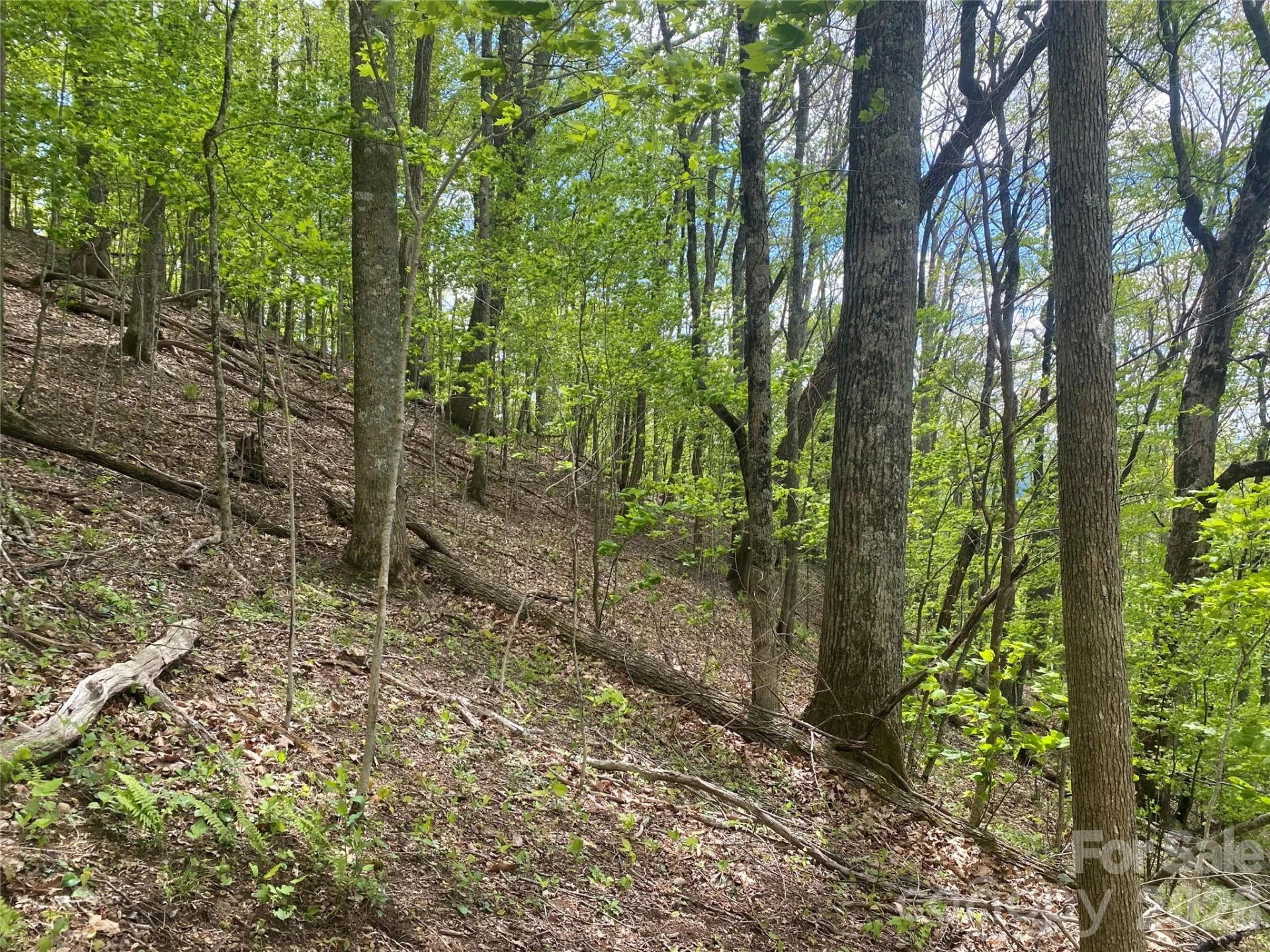 TBD US 23 Highway - Photo 9