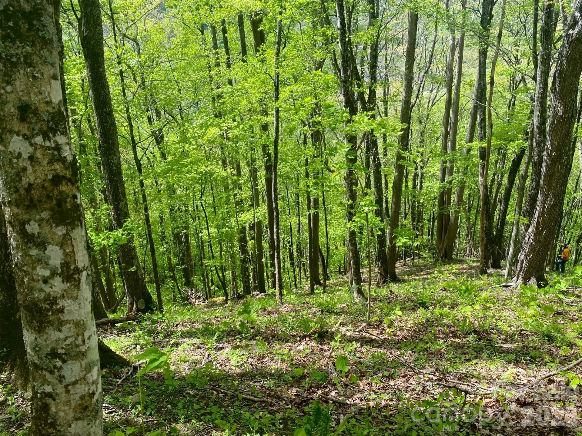 TBD US 23 Highway - Photo 10