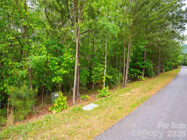 LOT 2009 Deep Gap Farm Road W, Mill Spring, NC, 28756