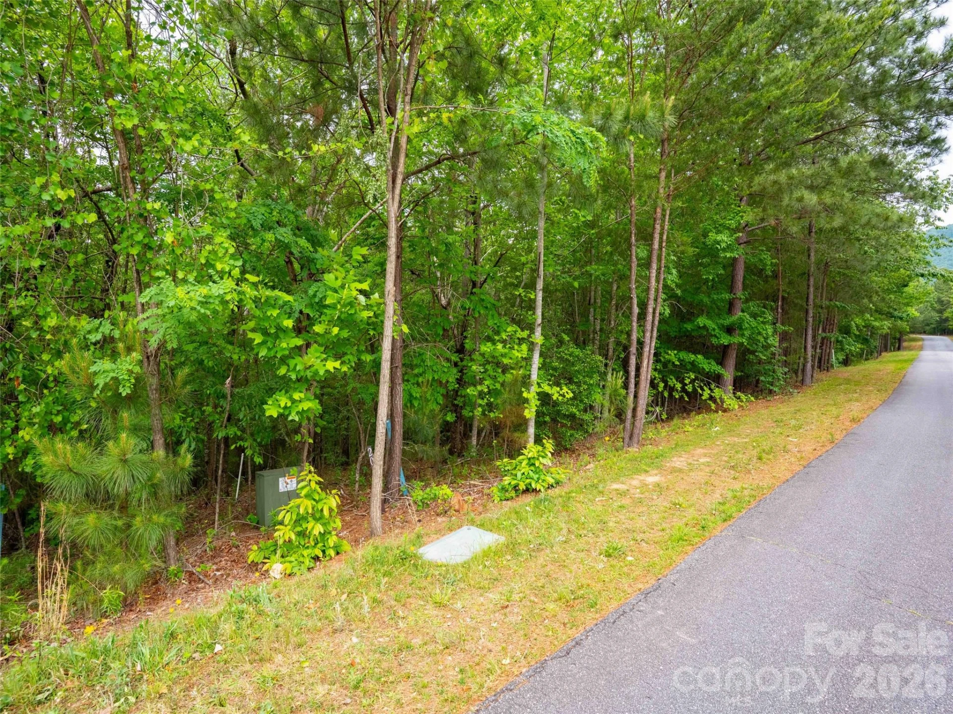 LOT 2009 Deep Gap Farm Road W