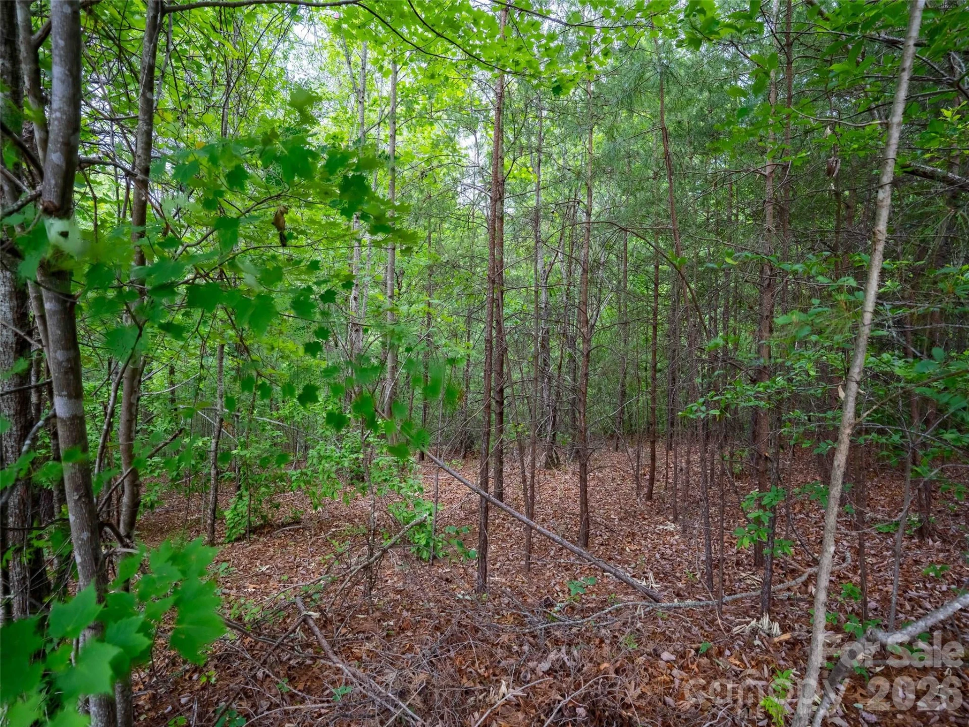 LOT 2009 Deep Gap Farm Road W - Photo 2