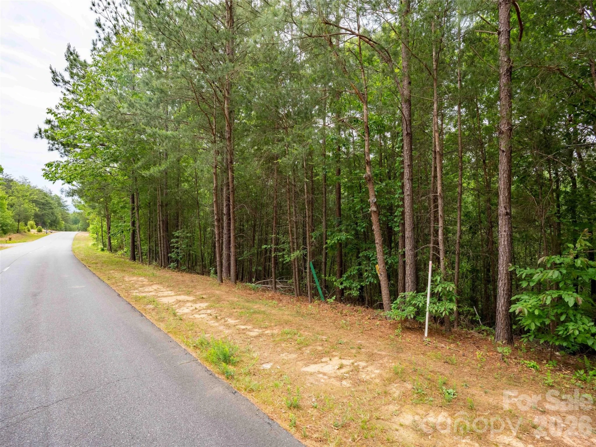 LOT 2009 Deep Gap Farm Road W - Photo 3